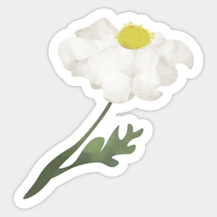 Matilija Poppy Sticker